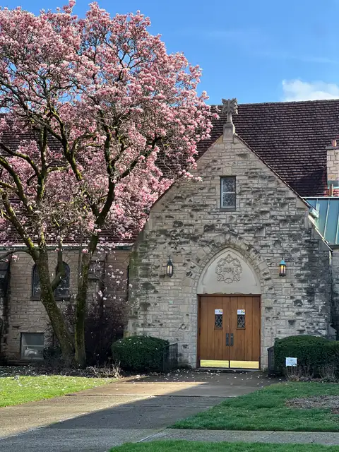Timeless architecture under a canopy of vibrant pink blossoms.